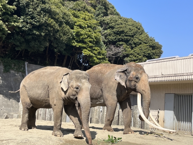 1122　撮影場所　動物園　どこ　ロケ地　カフェ　公園