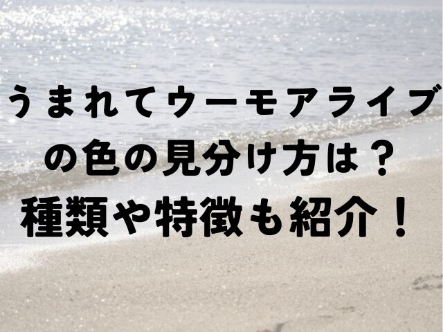 うまれてウーモ　アライブ　色　見分け方　種類　特徴