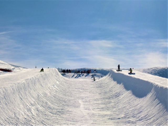 山田琉聖 父親 職業 母 兄弟 家族構成