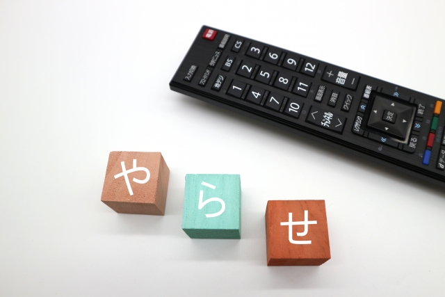 旦那のじゅんとかえで　やらせ　炎上　人気　理由　なぜ