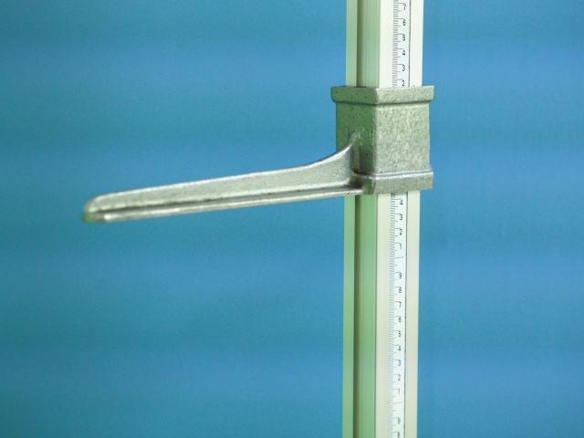 カノックスター　嫁　何歳　身長　本名　プロフィール