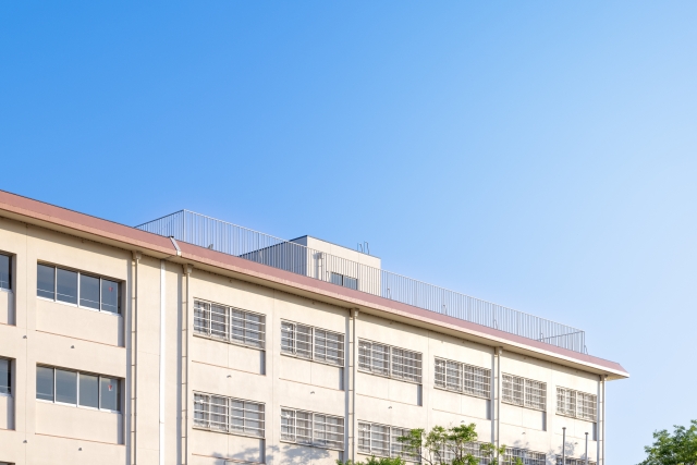 ゆいぴす　出身高校　どこ　浪人　青学